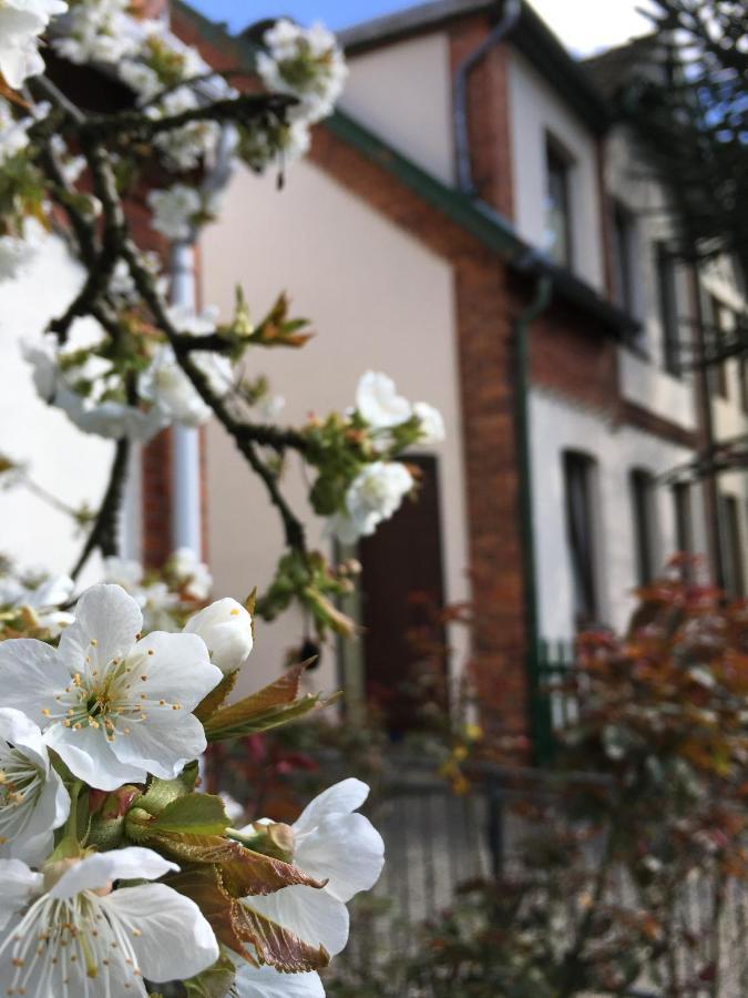 Ferienwohnung Berta Lueneburg 外观 照片